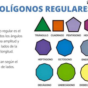 ¡Aprende todo lo que hay que saber sobre los polígonos!
