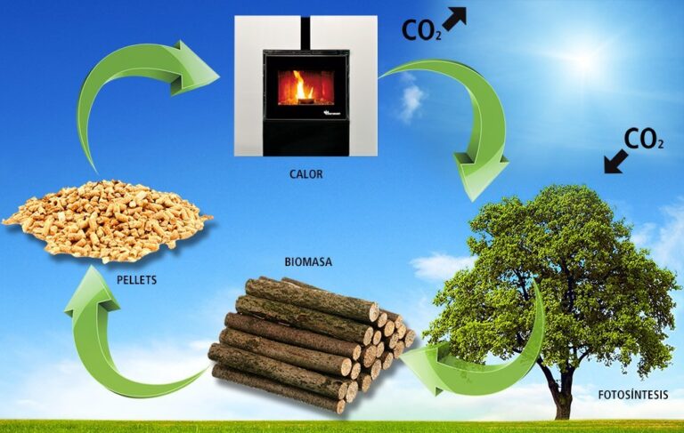 Biomasa: Explorando sus Ventajas y Desventajas para un Futuro Sostenible