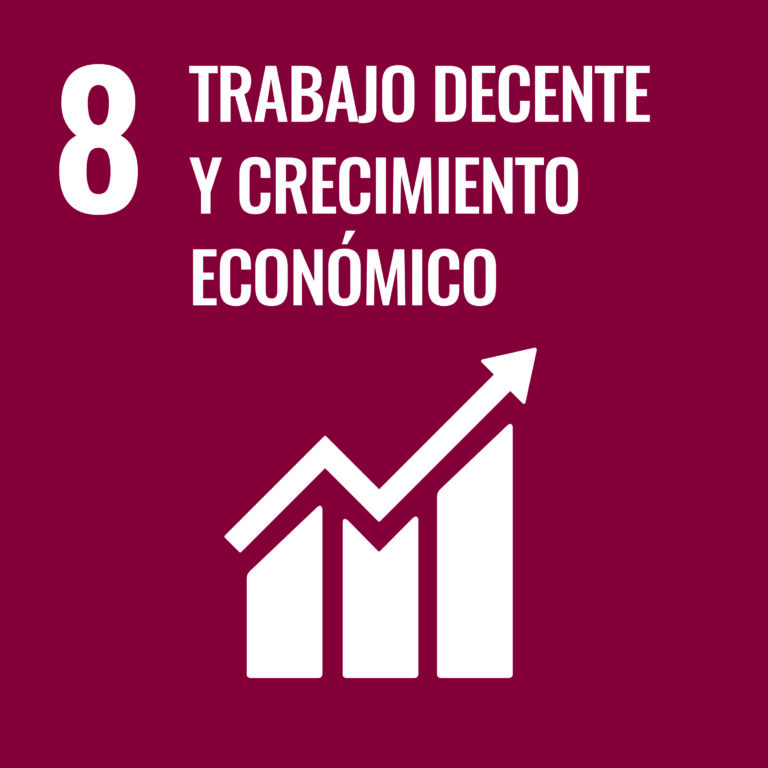 Crecimiento Económico con Trabajo Decente: Objtivo 8 de los ODS
