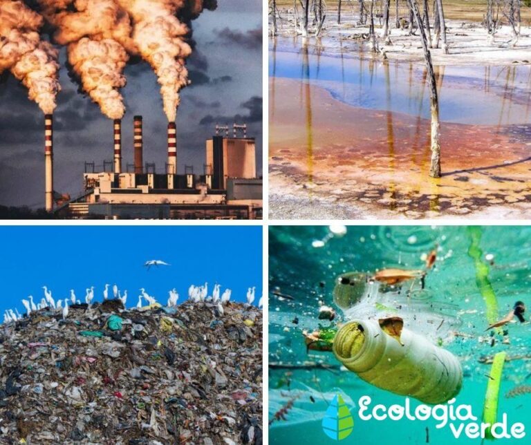 ¡Descubre los 5 Tipos de Contaminación que Amenazan el Medio Ambiente!