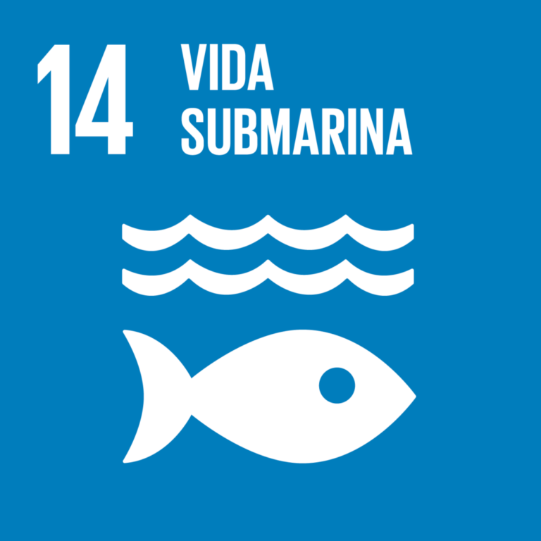 Explorando el Objetivo 14 de la Agenda 2030: Preservar la Vida Submarina