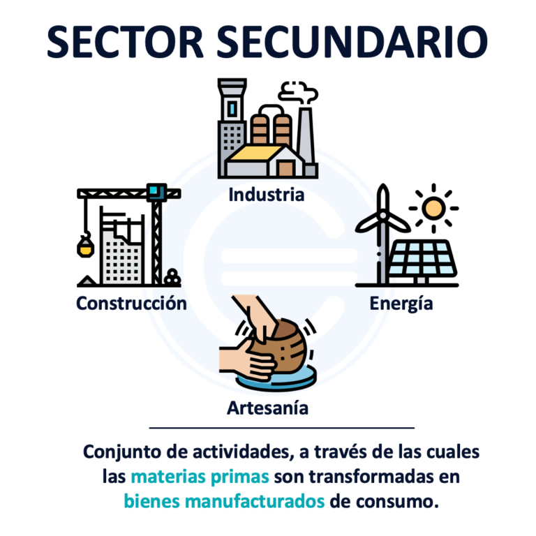Introducción al Sector Secundario: características y ejemplos