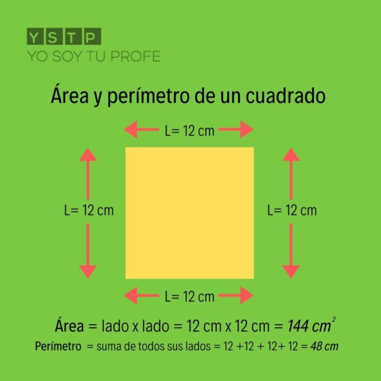 ¿Qué es el Perímetro? ¡Aprende cómo Calculalo!