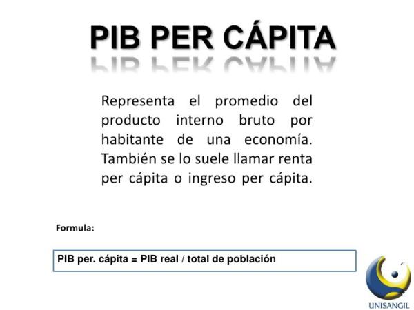 ¿Qué es el PIB Per Cápita y por qué es importante?