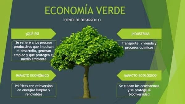 ¿Qué es la Economía Verde?