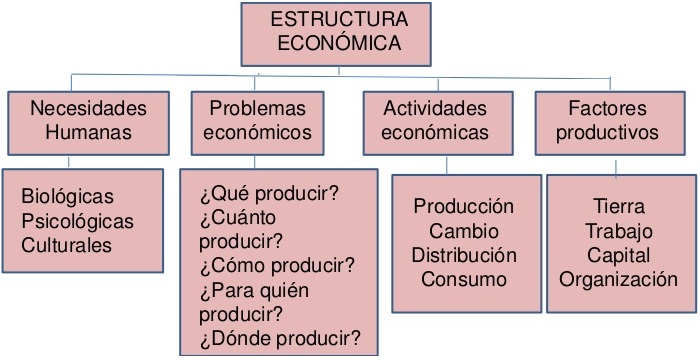 ¿Qué es la Estructura Económica?