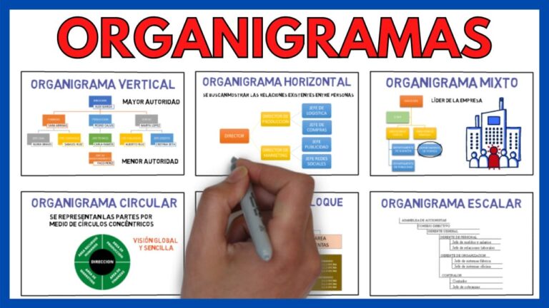 ¿Qué es un Organigrama? Conoce Cómo Utilizarlo Eficientemente