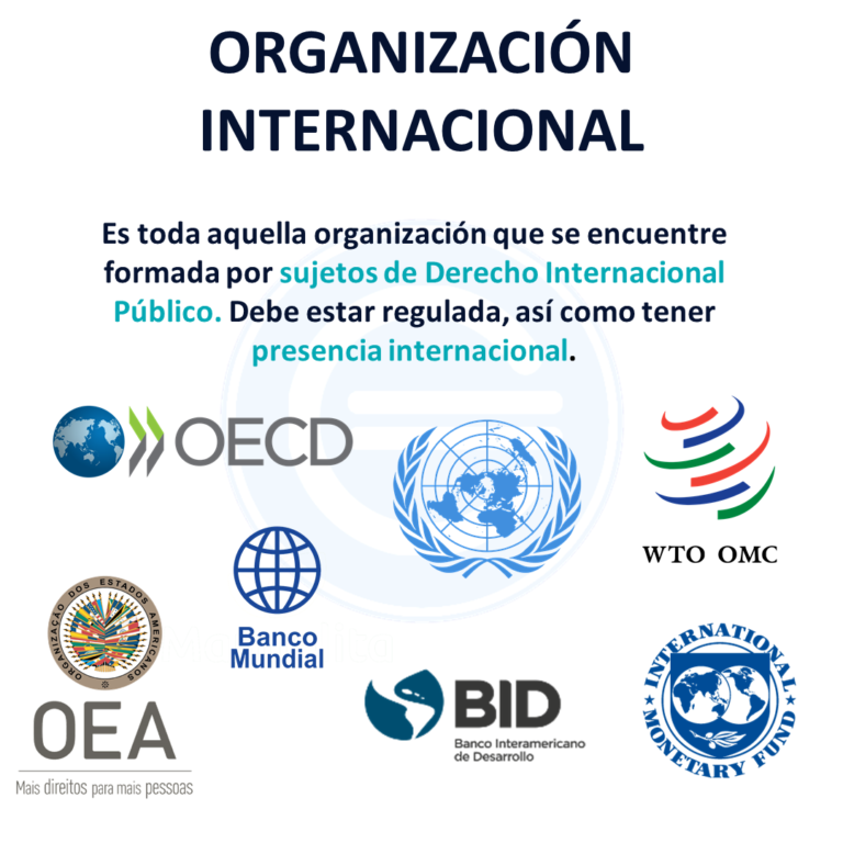 ¿Qué es una Organización Internacional?